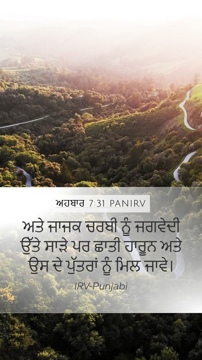 ਅਹਬਾਰ 7:31 PANIRV Bible Verse Image