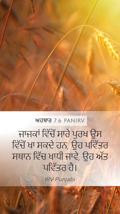 ਅਹਬਾਰ 7:6 PANIRV Bible Verse Image
