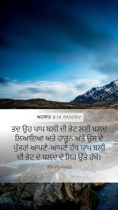 ਅਹਬਾਰ 8:14 PANIRV Bible Verse Image