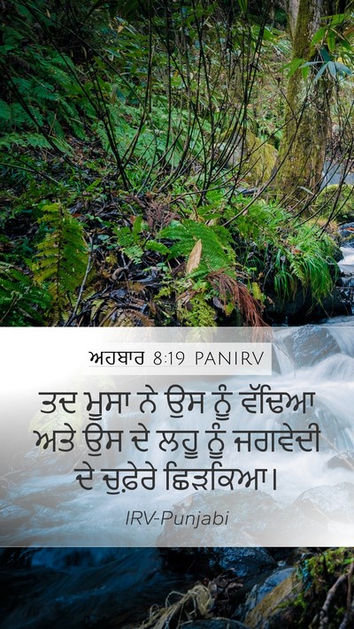 ਅਹਬਾਰ 8:19 PANIRV Mobile Phone Wallpaper - ਤਦ ਮੂਸਾ ਨੇ ਉਸ ਨੂੰ - Mobile Bible Verse Wallpaper