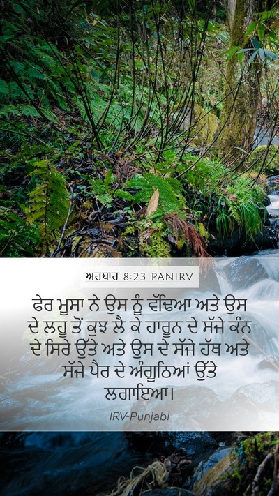 ਅਹਬਾਰ 8:23 PANIRV Bible Verse Image