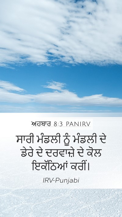 ਅਹਬਾਰ 8:3 PANIRV Mobile Phone Wallpaper - ਸਾਰੀ ਮੰਡਲੀ ਨੂੰ - Mobile Bible Verse Wallpaper