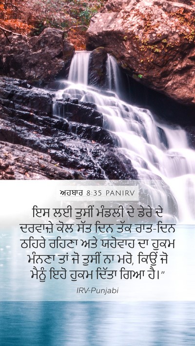 ਅਹਬਾਰ 8:35 PANIRV Bible Verse Image