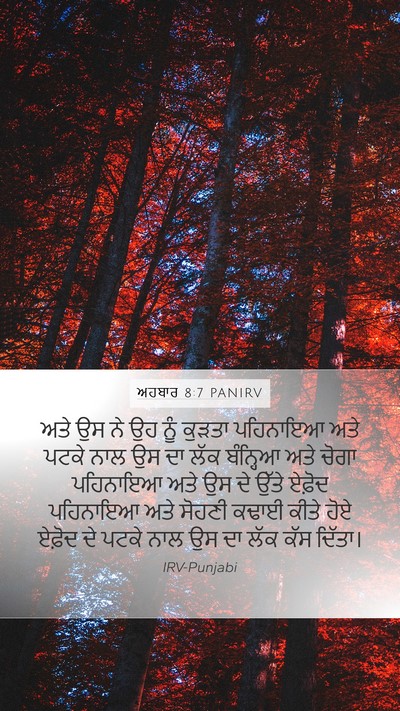ਅਹਬਾਰ 8:7 PANIRV Bible Verse Image