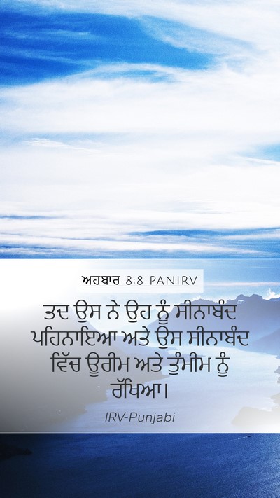 ਅਹਬਾਰ 8:8 PANIRV Bible Verse Image