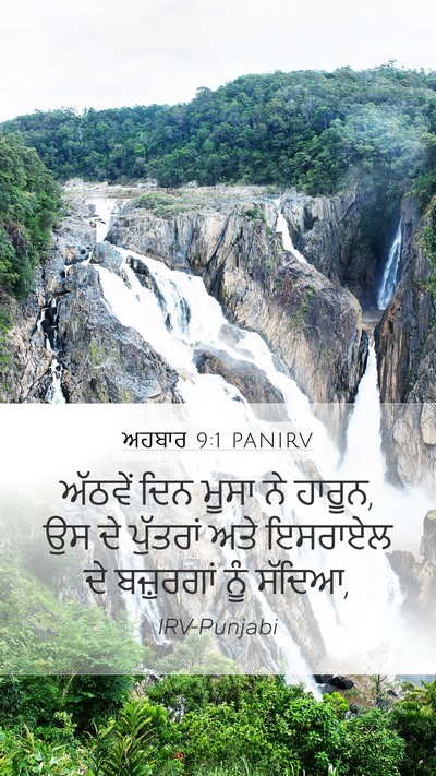 ਅਹਬਾਰ 9:1 PANIRV Bible Verse Image