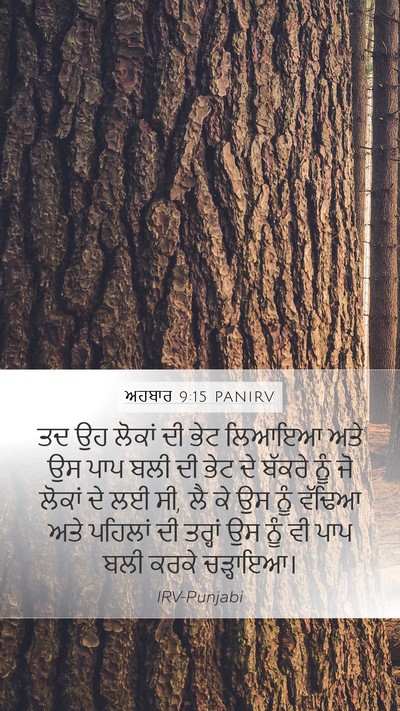 ਅਹਬਾਰ 9:15 PANIRV Bible Verse Image