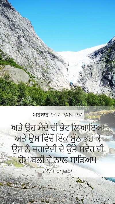 ਅਹਬਾਰ 9:17 PANIRV Bible Verse Image