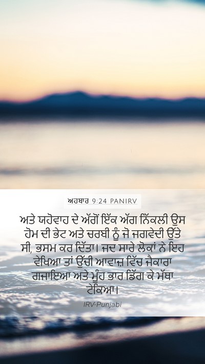ਅਹਬਾਰ 9:24 PANIRV Bible Verse Image