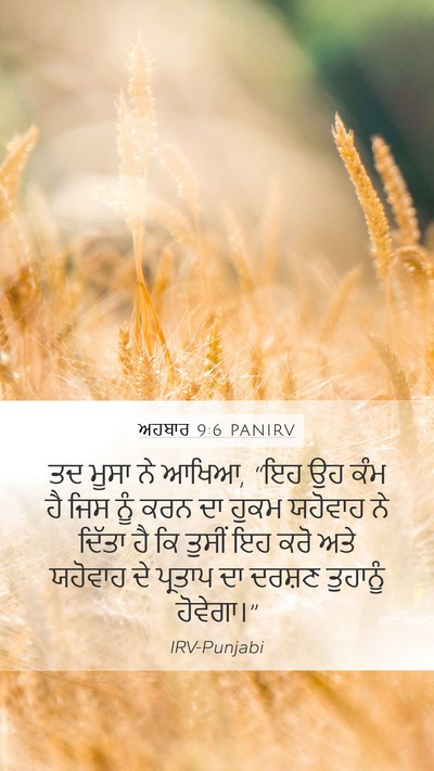 ਅਹਬਾਰ 9:6 PANIRV Bible Verse Image