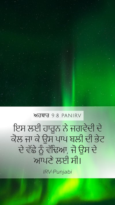 ਅਹਬਾਰ 9:8 PANIRV Bible Verse Image