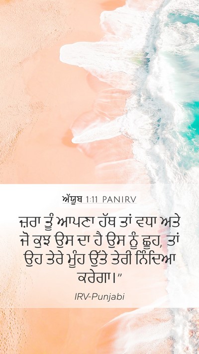ਅੱਯੂਬ 1:11 PANIRV Bible Verse Image
