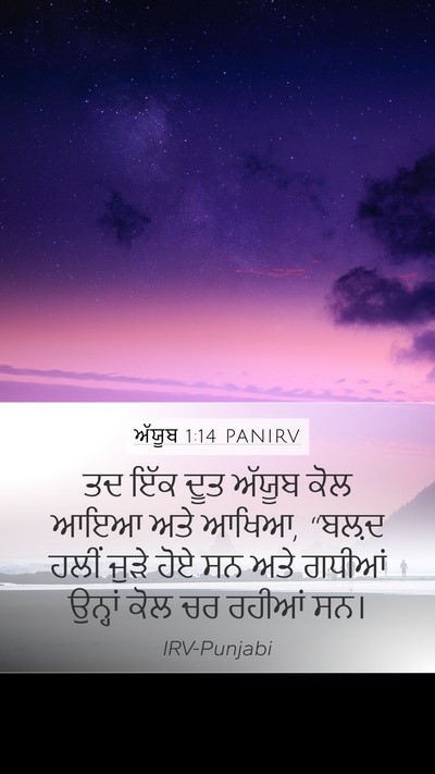 ਅੱਯੂਬ 1:14 PANIRV Bible Verse Image