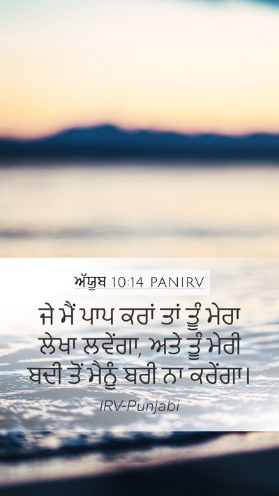 ਅੱਯੂਬ 10:14 PANIRV Bible Verse Image