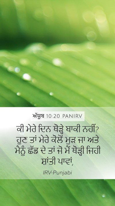 ਅੱਯੂਬ 10:20 PANIRV Bible Verse Image