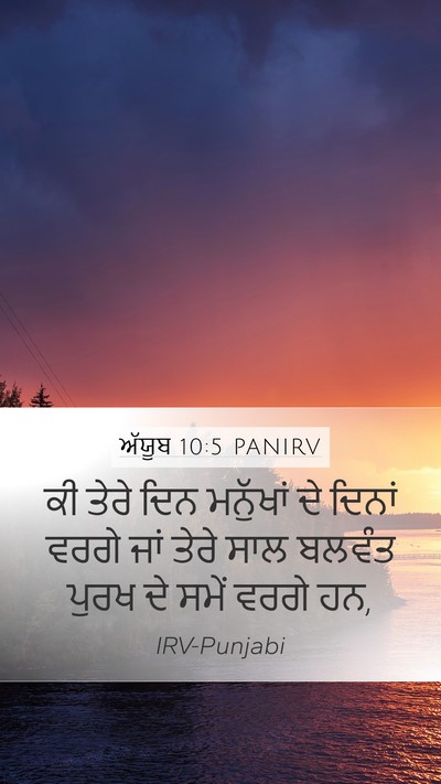 ਅੱਯੂਬ 10:5 PANIRV Mobile Phone Wallpaper - ਕੀ ਤੇਰੇ ਦਿਨ - Mobile Bible Verse Wallpaper