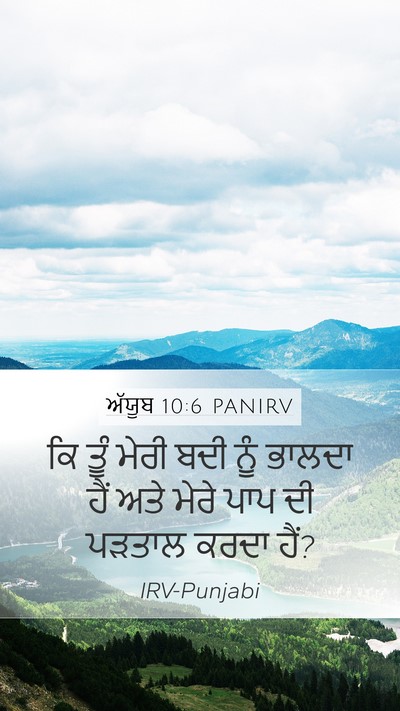 ਅੱਯੂਬ 10:6 PANIRV Mobile Phone Wallpaper - ਕਿ ਤੂੰ ਮੇਰੀ ਬਦੀ ਨੂੰ - Mobile Bible Verse Wallpaper
