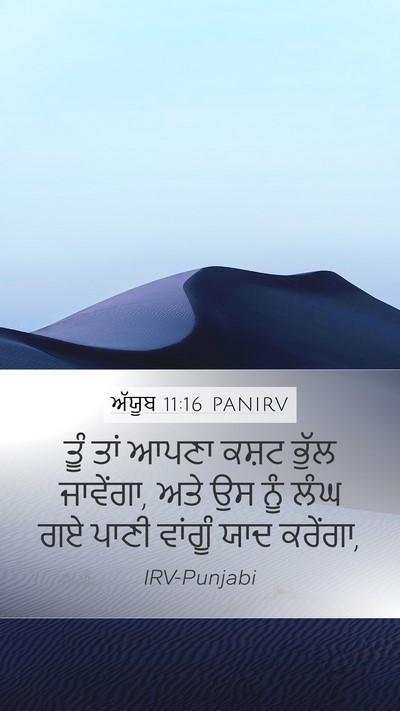 ਅੱਯੂਬ 11:16 PANIRV Mobile Phone Wallpaper - ਤੂੰ ਤਾਂ ਆਪਣਾ ਕਸ਼ਟ - Mobile Bible Verse Wallpaper