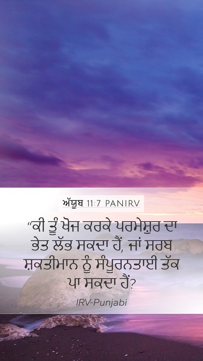 ਅੱਯੂਬ 11:7 PANIRV Bible Verse Image