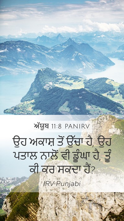 ਅੱਯੂਬ 11:8 PANIRV Bible Verse Image