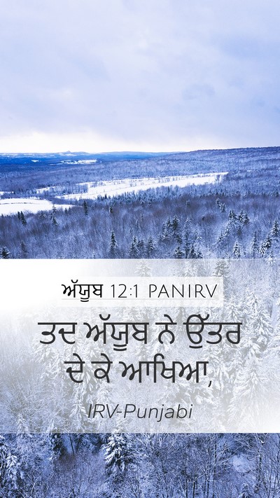 ਅੱਯੂਬ 12:1 PANIRV Mobile Phone Wallpaper - ਤਦ ਅੱਯੂਬ ਨੇ ਉੱਤਰ ਦੇ - Mobile Bible Verse Wallpaper