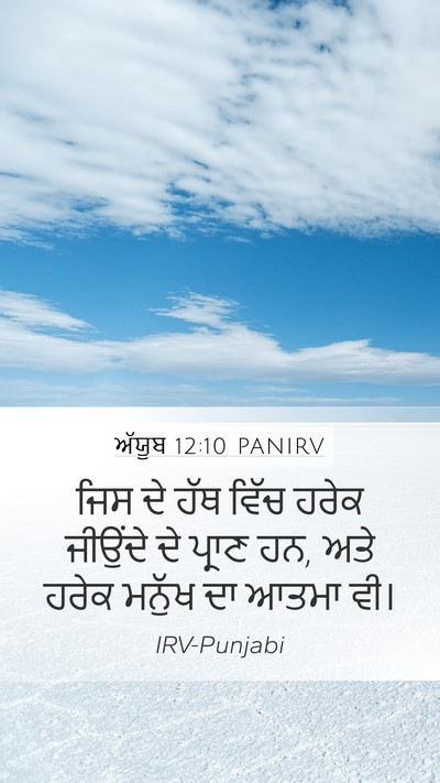 ਅੱਯੂਬ 12:10 PANIRV Bible Verse Image