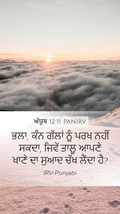 ਅੱਯੂਬ 12:11 PANIRV Bible Verse Image