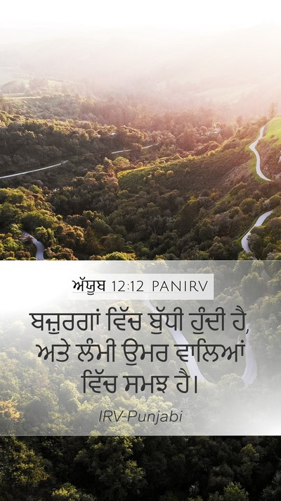ਅੱਯੂਬ 12:12 PANIRV Bible Verse Image