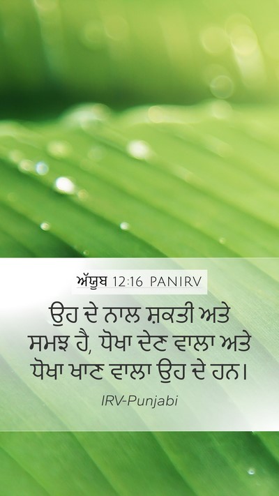 ਅੱਯੂਬ 12:16 PANIRV Bible Verse Image