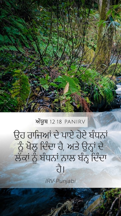 ਅੱਯੂਬ 12:18 PANIRV Bible Verse Image