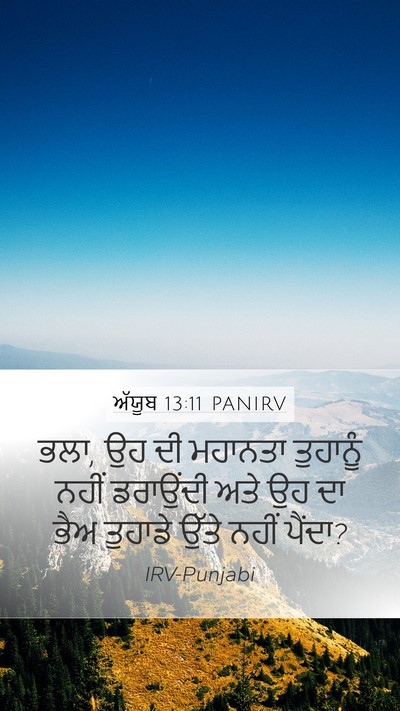 ਅੱਯੂਬ 13:11 PANIRV Bible Verse Image