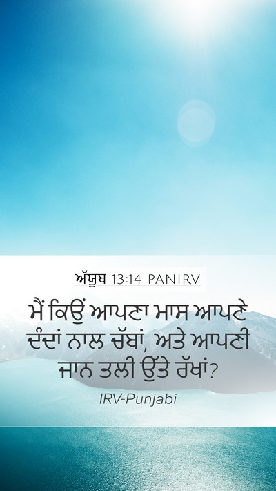 ਅੱਯੂਬ 13:14 PANIRV Bible Verse Image