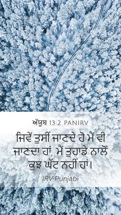 ਅੱਯੂਬ 13:2 PANIRV Bible Verse Image