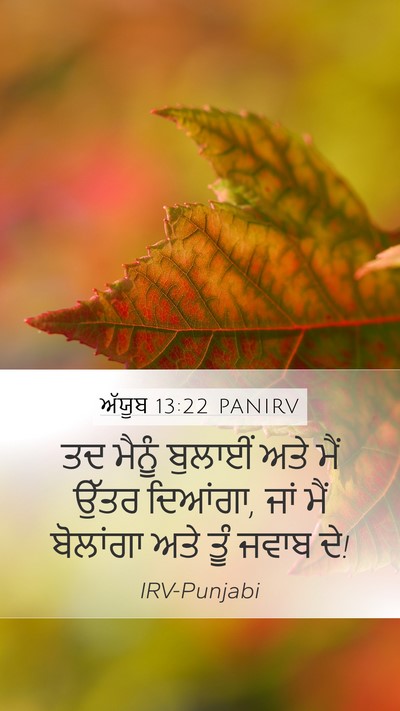 ਅੱਯੂਬ 13:22 PANIRV Bible Verse Image
