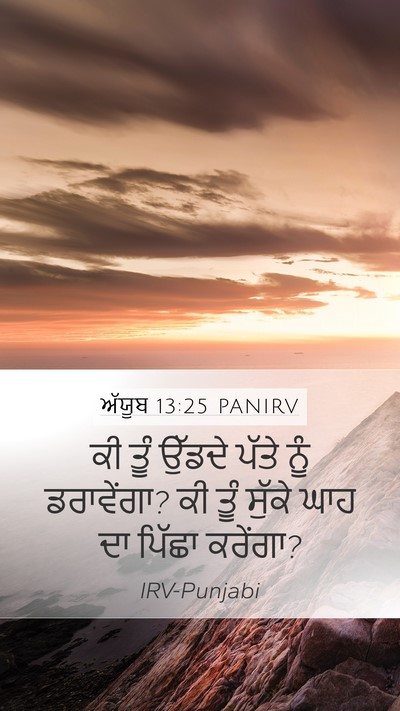 ਅੱਯੂਬ 13:25 PANIRV Bible Verse Image