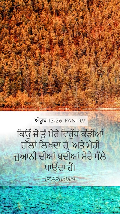 ਅੱਯੂਬ 13:26 PANIRV Bible Verse Image