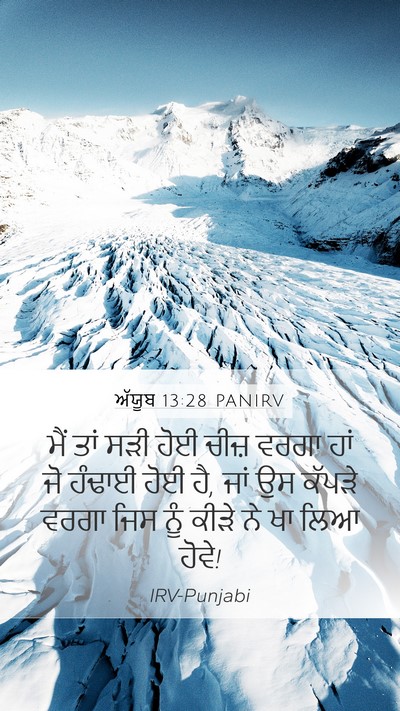 ਅੱਯੂਬ 13:28 PANIRV Bible Verse Image