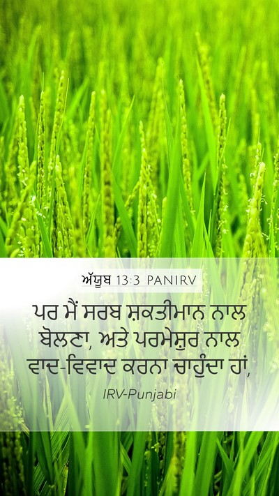 ਅੱਯੂਬ 13:3 PANIRV Bible Verse Image