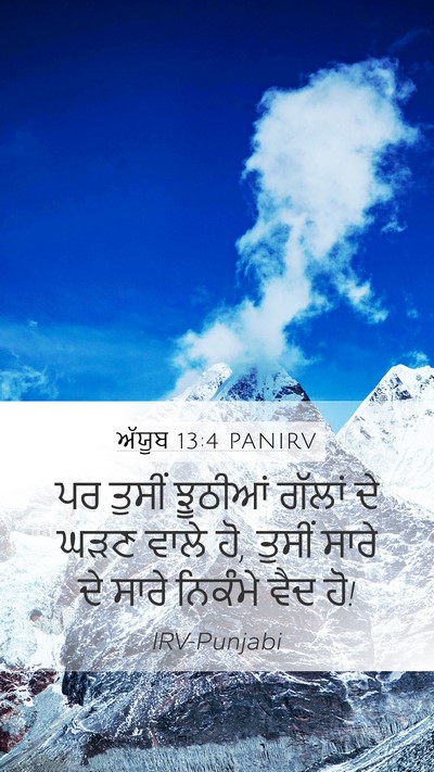 ਅੱਯੂਬ 13:4 PANIRV Bible Verse Image