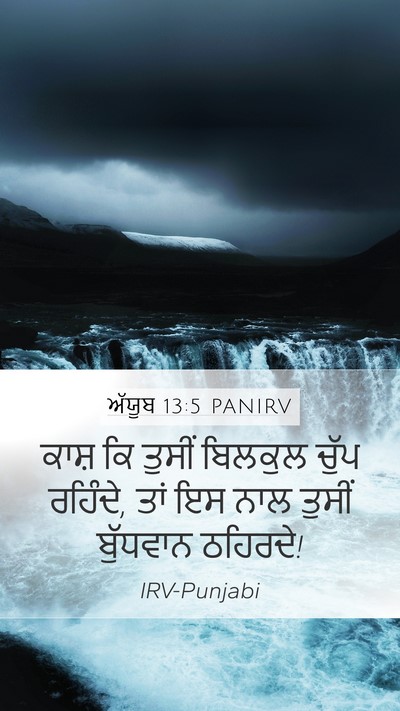 ਅੱਯੂਬ 13:5 PANIRV Bible Verse Image