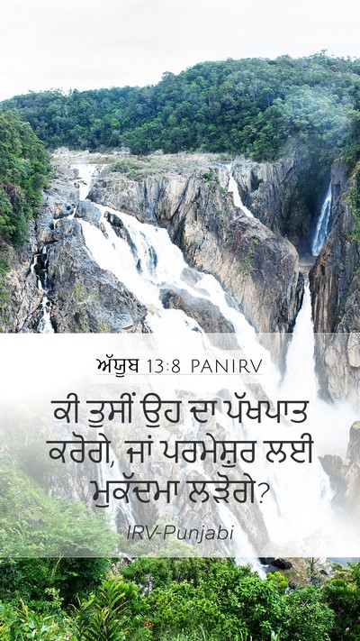 ਅੱਯੂਬ 13:8 PANIRV Mobile Phone Wallpaper - ਕੀ ਤੁਸੀਂ ਉਹ ਦਾ - Mobile Bible Verse Wallpaper