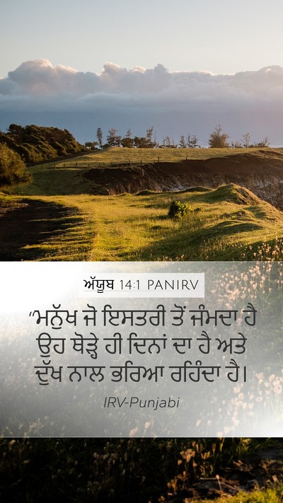 ਅੱਯੂਬ 14:1 PANIRV Bible Verse Image