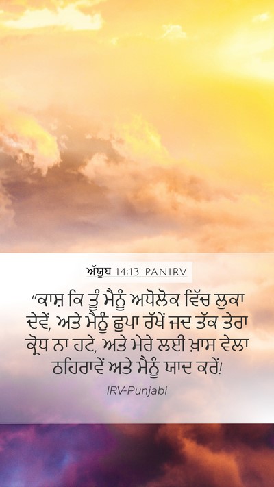 ਅੱਯੂਬ 14:13 PANIRV Bible Verse Image
