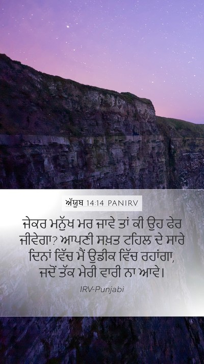 ਅੱਯੂਬ 14:14 PANIRV Bible Verse Image