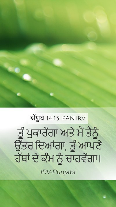 ਅੱਯੂਬ 14:15 PANIRV Bible Verse Image