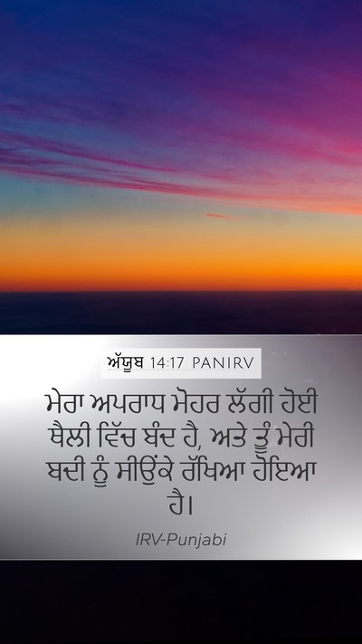 ਅੱਯੂਬ 14:17 PANIRV Bible Verse Image
