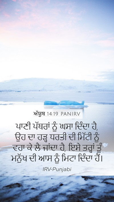 ਅੱਯੂਬ 14:19 PANIRV Bible Verse Image