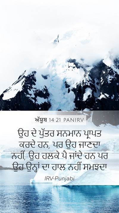 ਅੱਯੂਬ 14:21 PANIRV Bible Verse Image