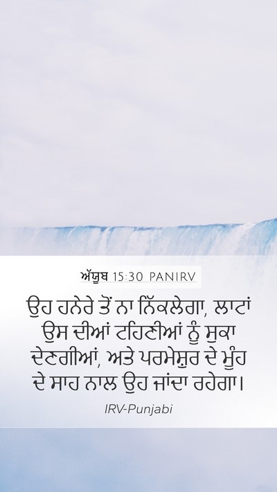 ਅੱਯੂਬ 15:30 PANIRV Bible Verse Image