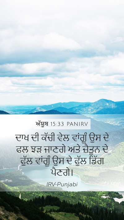 ਅੱਯੂਬ 15:33 PANIRV Mobile Phone Wallpaper - ਦਾਖ ਦੀ ਕੱਚੀ ਵੇਲ - Mobile Bible Verse Wallpaper
